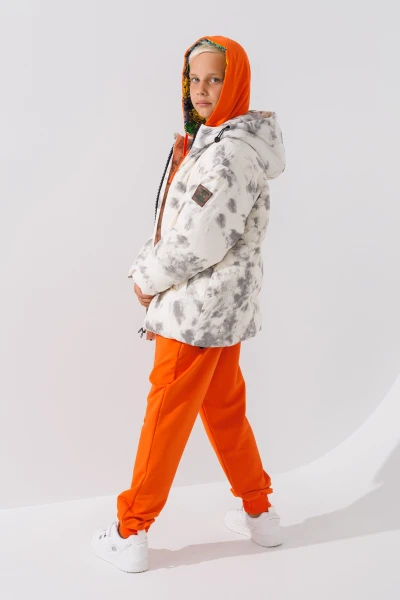 picture-3