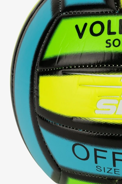 picture-2