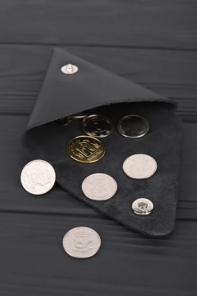 picture-4