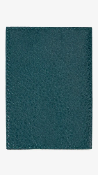 picture-2