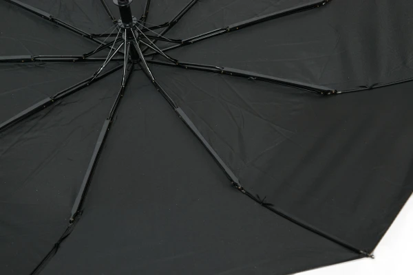 picture-4