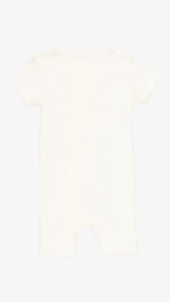 picture-3