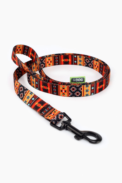 Повідець ТМ HIDOG &quot;Boha orange&quot; , ширина 10 мм (довжина 152 см) (2100102320018A)(SN)