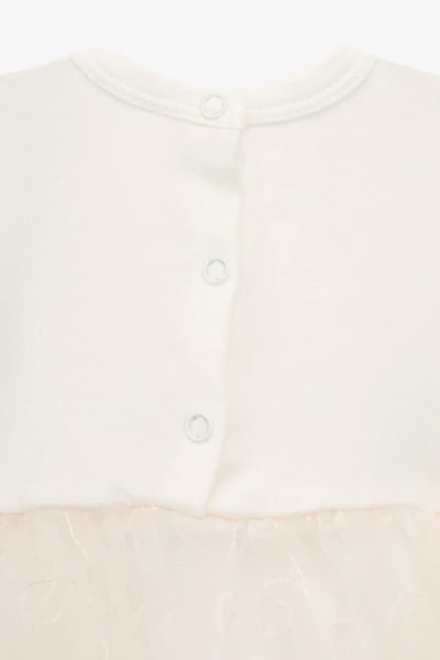 picture-4