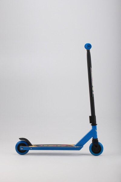 picture-4