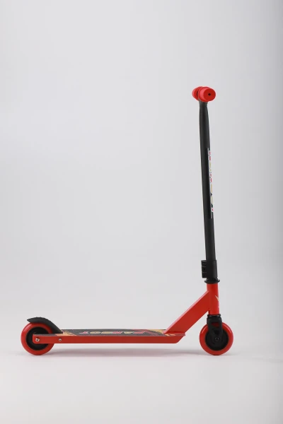picture-4