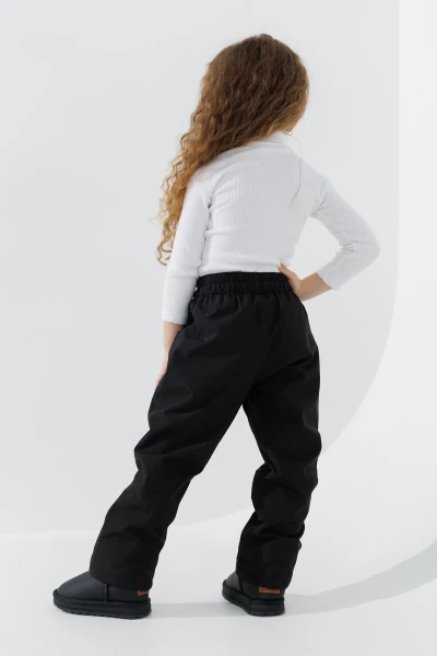 picture-4
