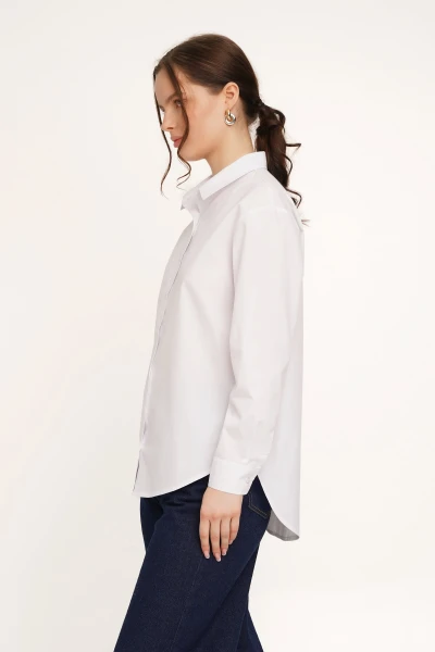 picture-4