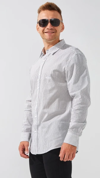 picture-4