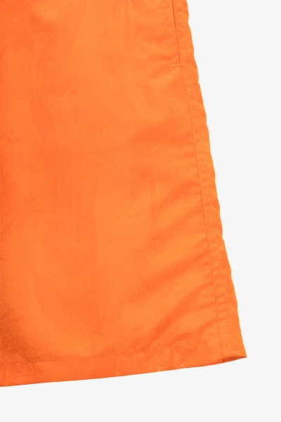 picture-4