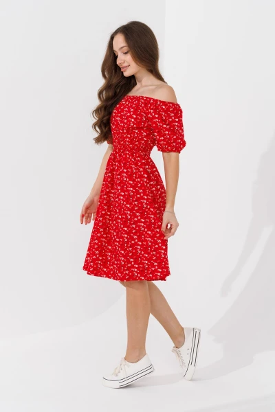picture-4
