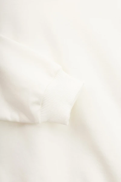 picture-3