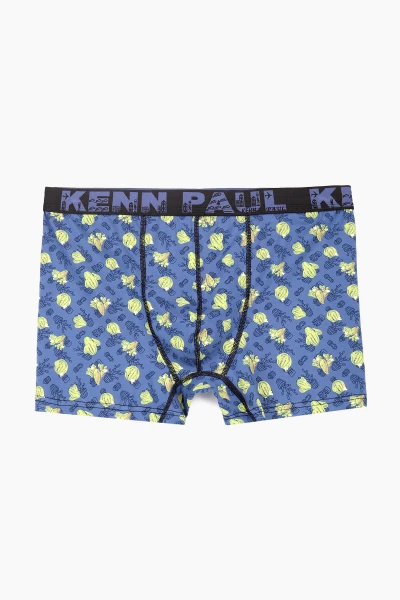 Трусы мужские KENN PAUL 030 кактус 4XL Разноцветный (2000989554561S)