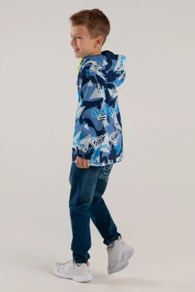 picture-3