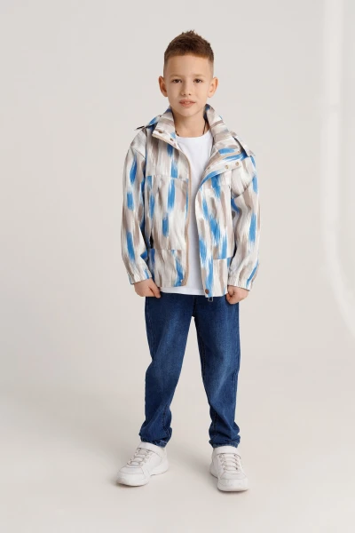 picture-4