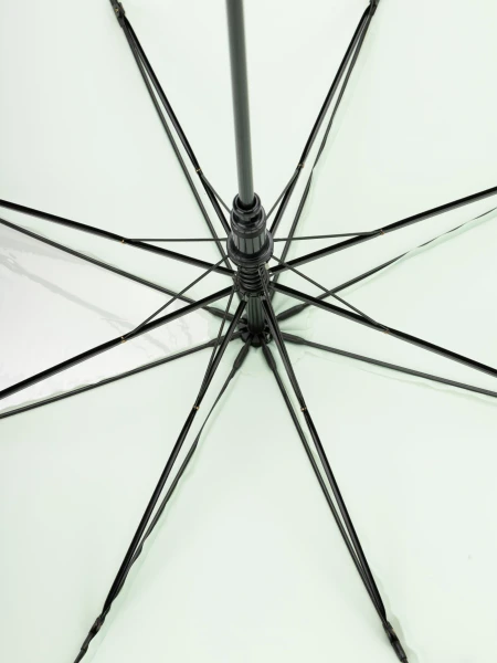picture-4