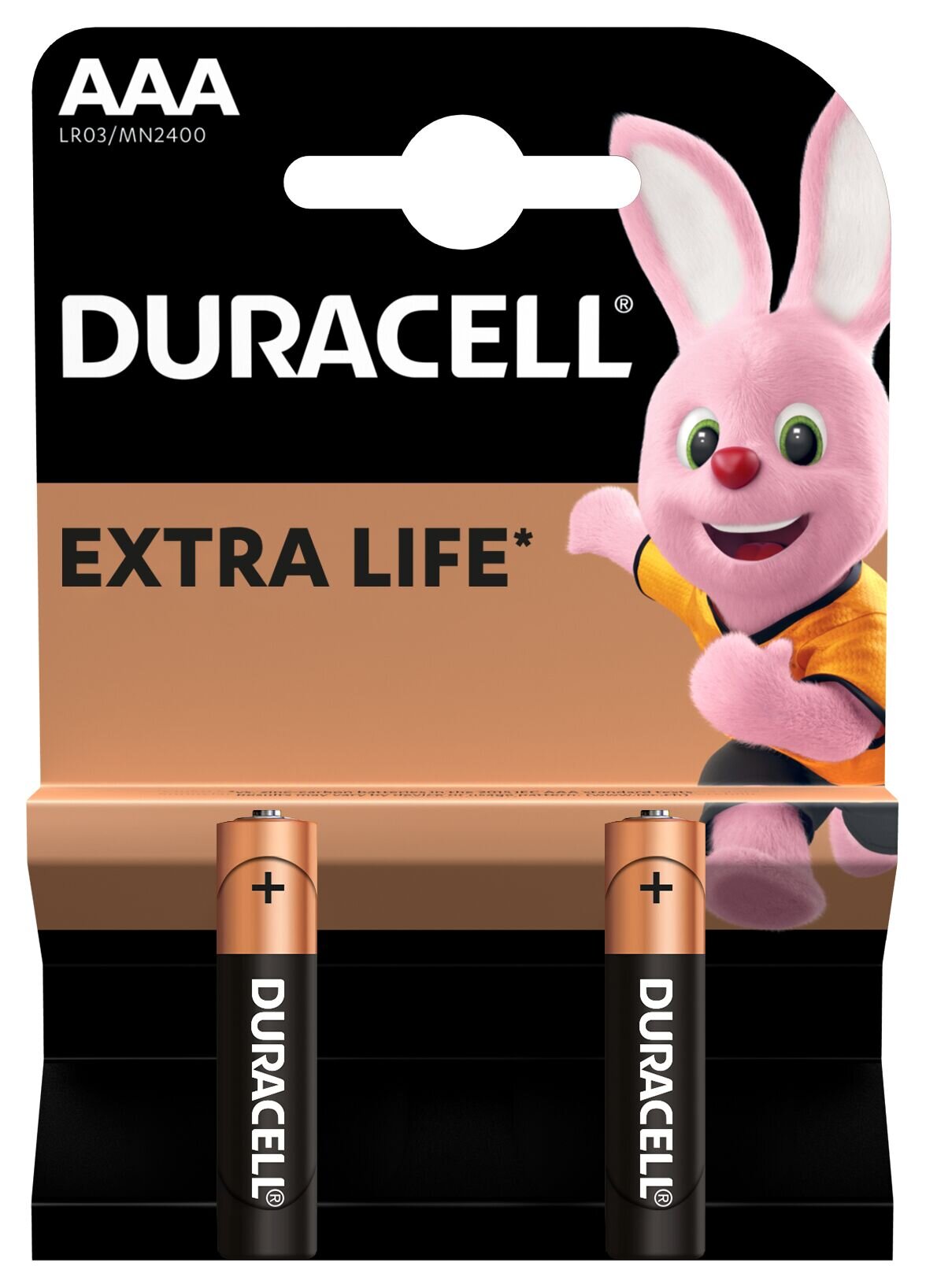 Батарейка DURACELL Basic AAA1.5V LR03 2 штуки на блистере 5010171 (5000394058170)
