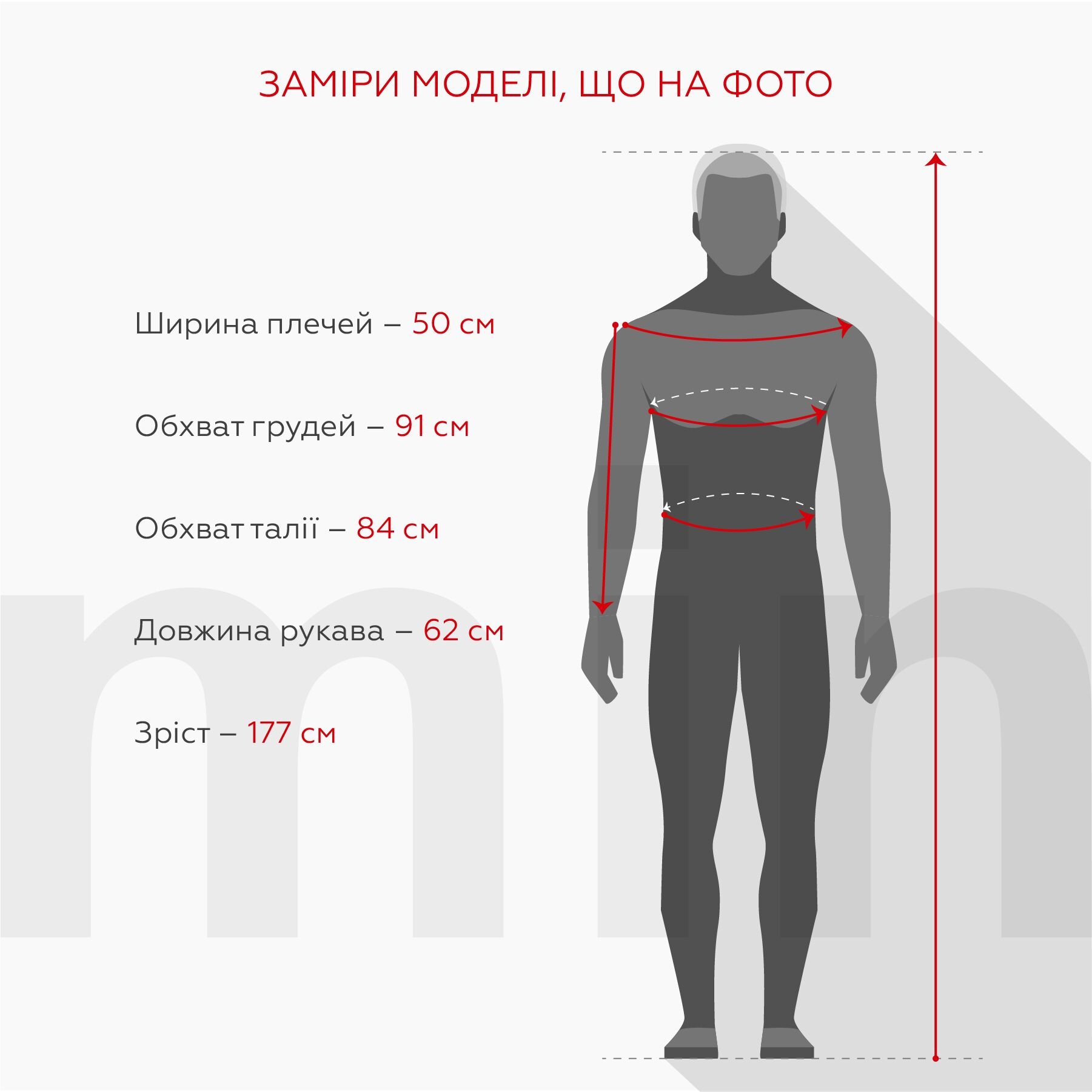 Спортивные штаны мужские Demos DMS-035 baza 2XL Серый (2000990059130W)  Фото №5
