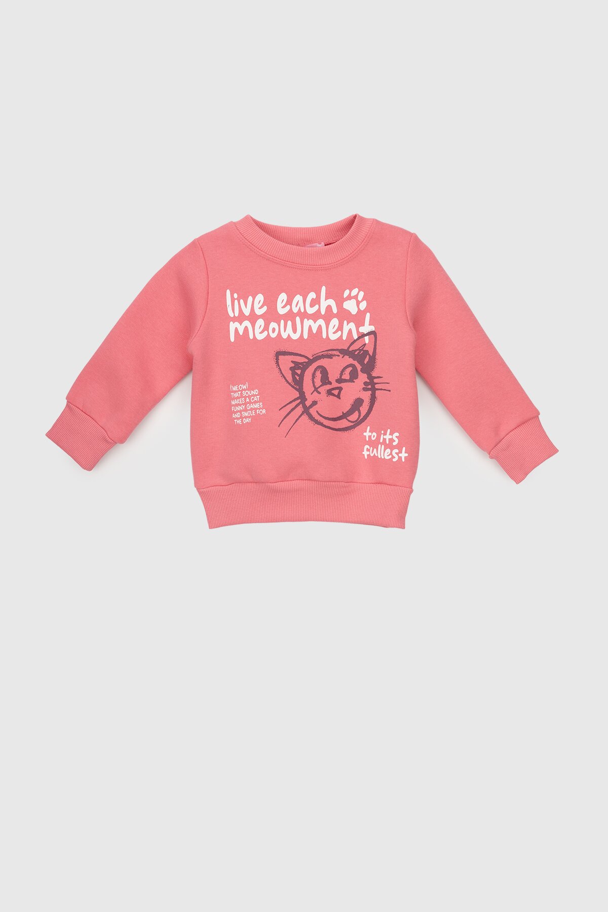 Світшот з принтом для дівчинки First Kids 858 92 см Рожевий (2000990132192W)  Фото №0